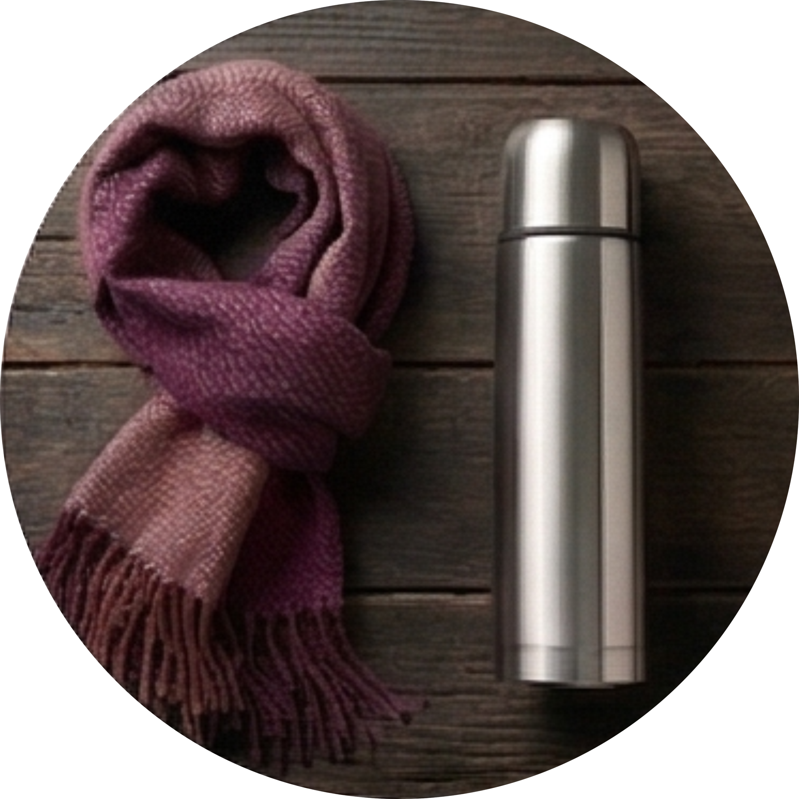 Para Usar no Inverno